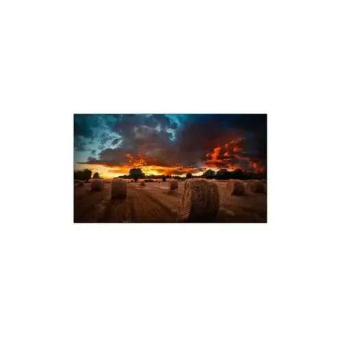 VIDEO WALL LCD PANTALLA DIGITAL SIGNAGE SAMSUNG VM55B-U 1397MM - 1920 X 1080 - DIRECT LED - 500CD/M² - USB - HDMI - DVI - EN SERIE - ETHERNET